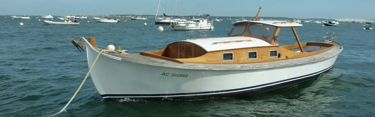 white and brown boat on calm body of water