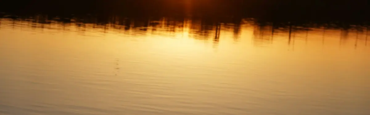 Boat tied to shore during a golden sunset